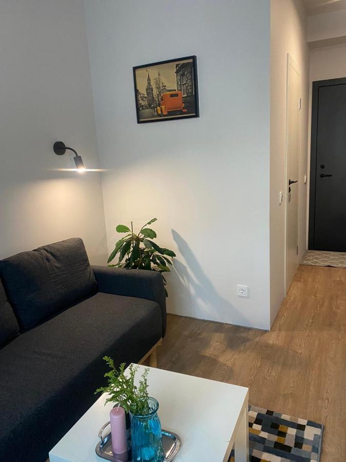 Lovekaunas Apartments Extérieur photo